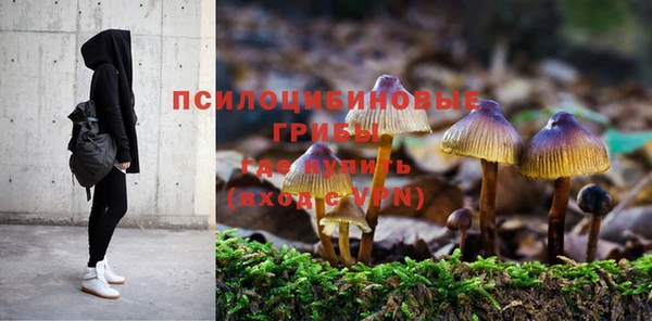 амф Балахна
