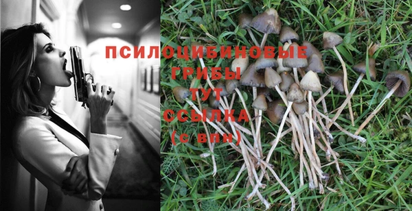 хмурый Баксан
