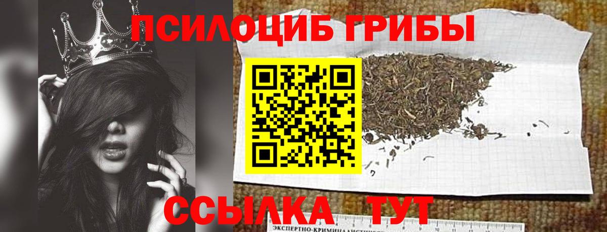 Рыбинск  Псилоцибиновые грибы прущие грибы  Вход с VPN  Псилоцибиновые грибы GOLDEN TEACHER 